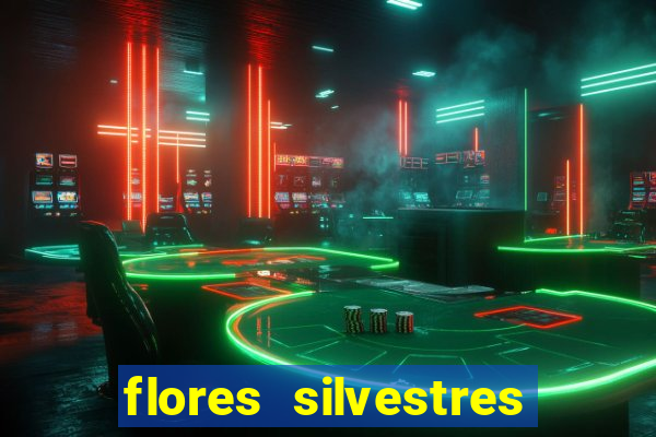 flores silvestres desbravadores desbravadores 25 flores silvestres e seus nomes